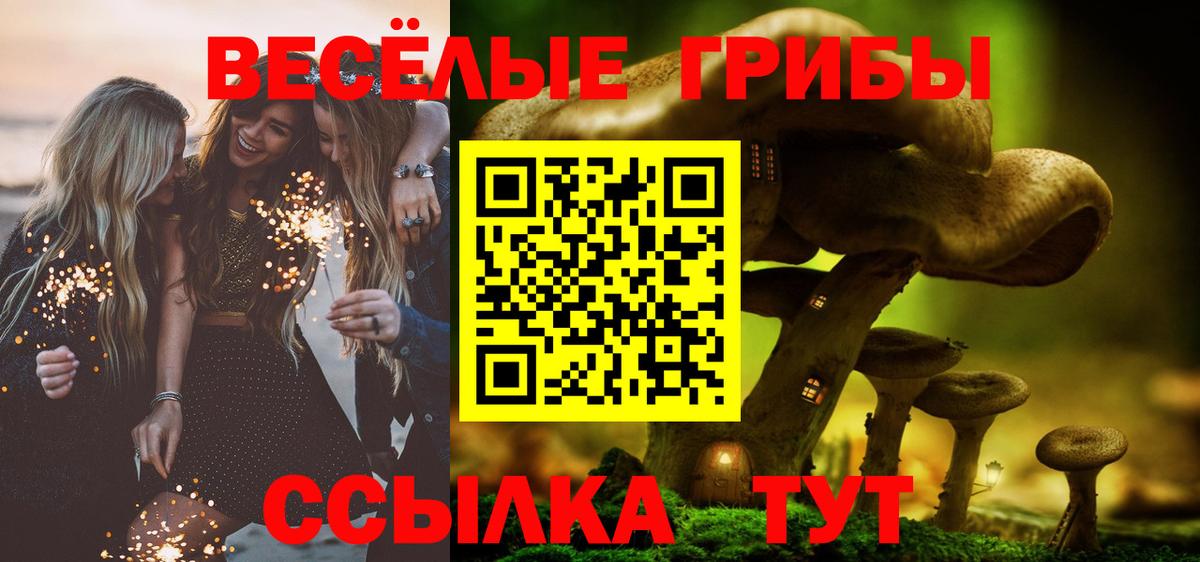 цена   Галлюциногенные грибы ЛСД  Богородицк  Вход с VPN  Псилоцибиновые грибы мухоморы 